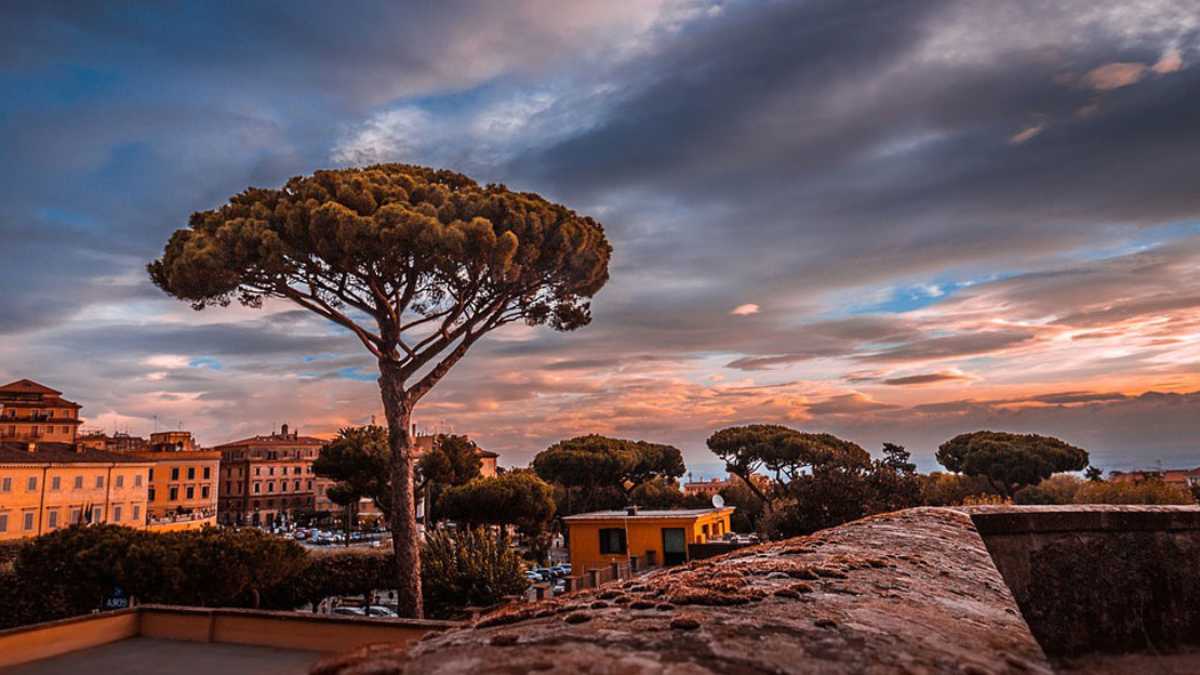 Feste ed Eventi a Frascati: Un Viaggio tra Tradizioni e Cultura