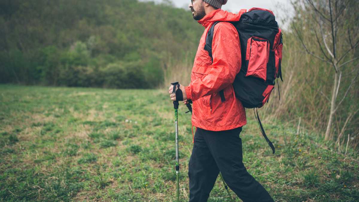 I Migliori Trekking nei Dintorni di Viterbo: Avventure nella Natura
