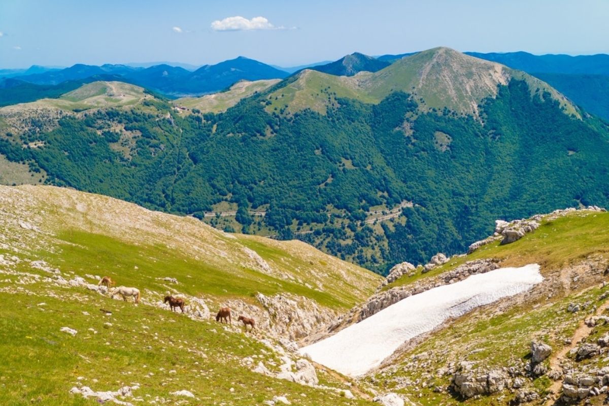 Sentieri naturali nel Parco Regionale dei Monti Simbruini
